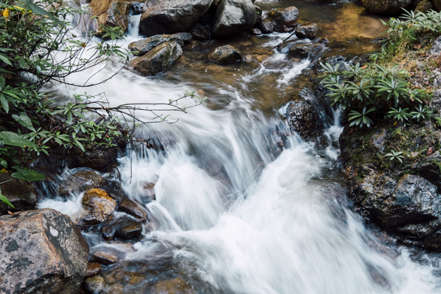 How to take care, preserve and recover river